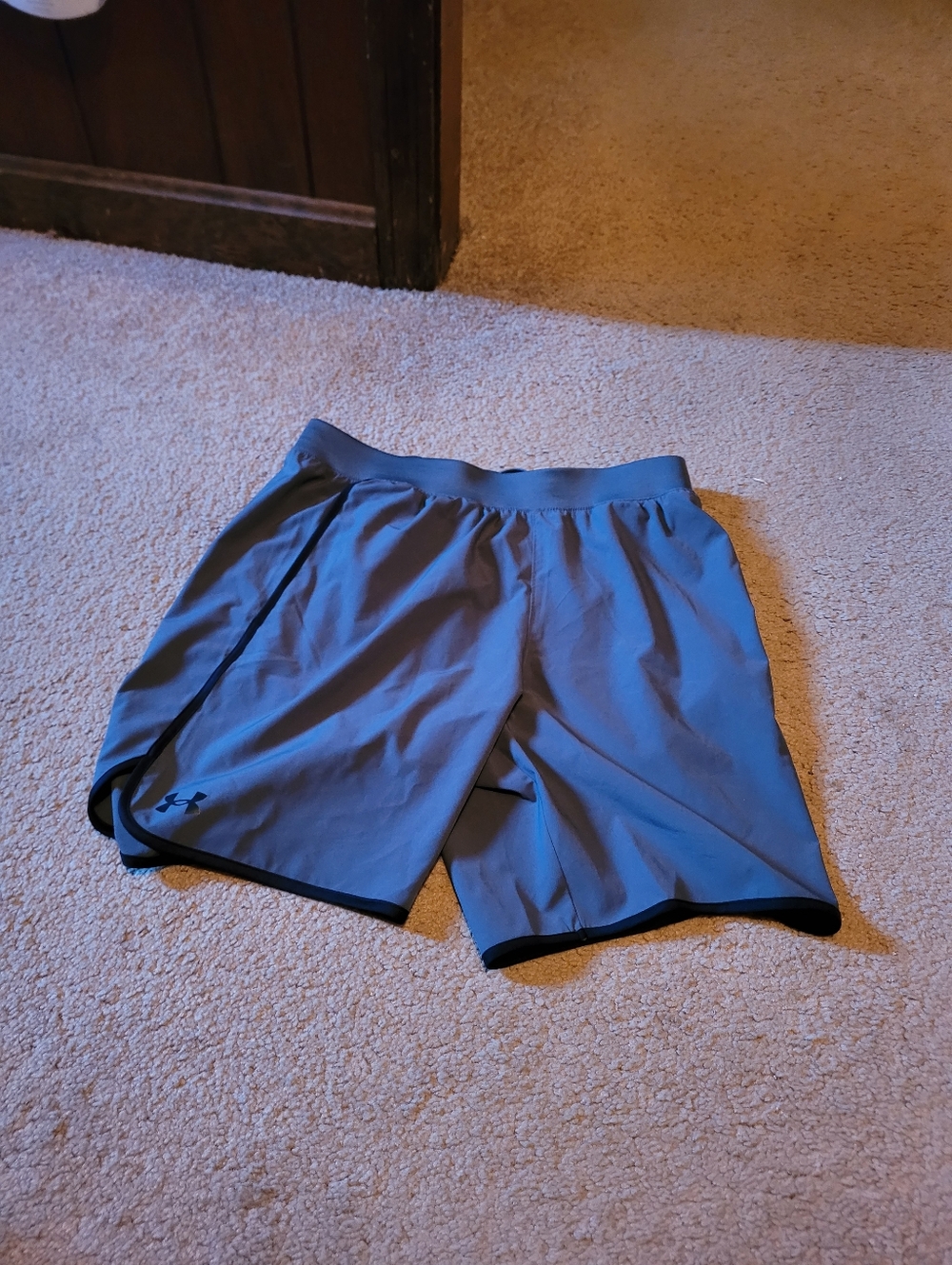Under Armour shorts